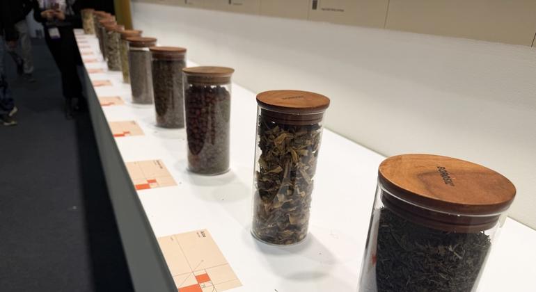 Лекарственные травы используются во многих системах традиционной медицины.